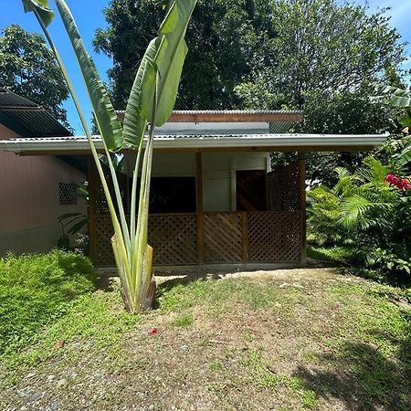 Ballena Oasis Homes Uvita Eksteriør billede